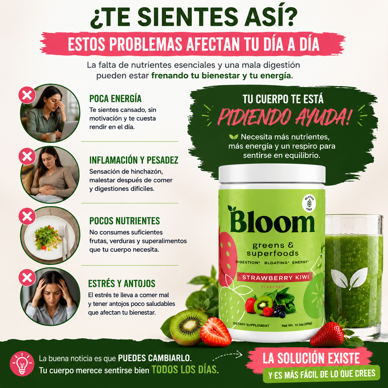 BLOOM Greens & Superfoods Nutrición