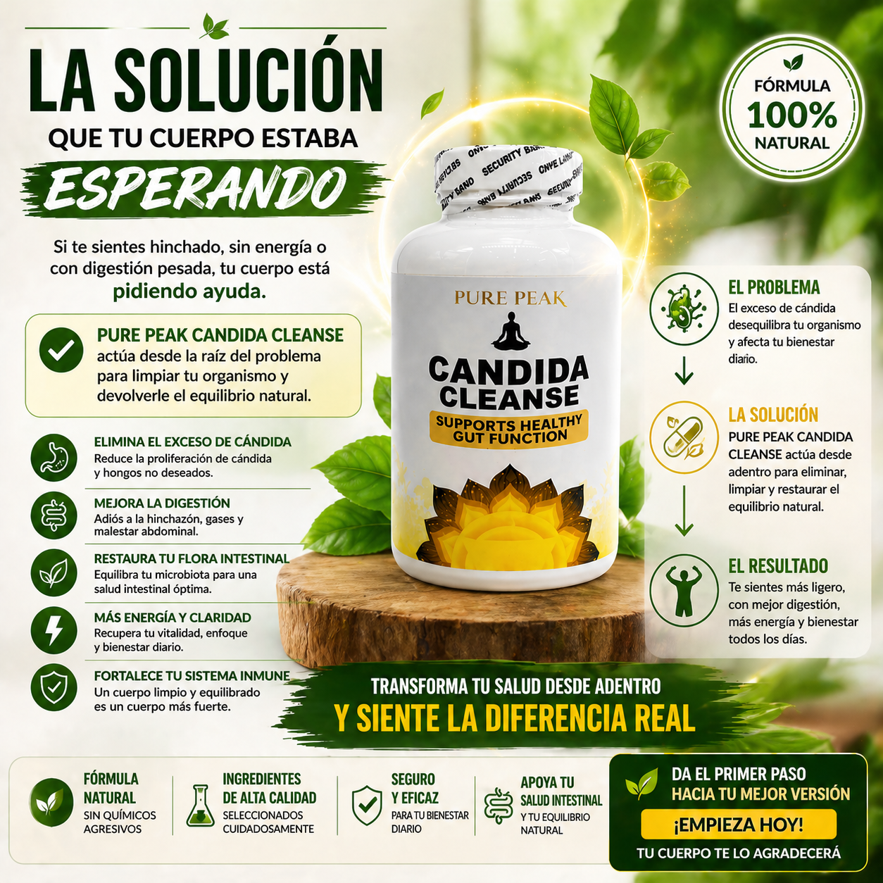 Candida Cleanse Limpieza intestinal